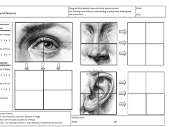 Facial features cover lesson