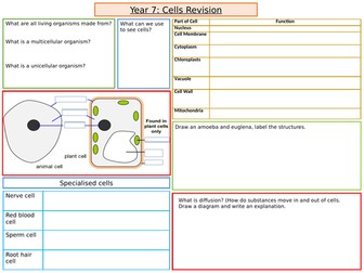 KS3, Year 7: Cells Revision Sheet