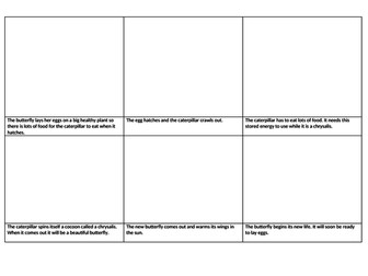 Life cycle of a butterfly DIFFERENTIATED