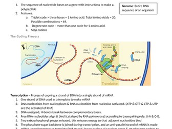 Cellular Control Revision Notes for OCR