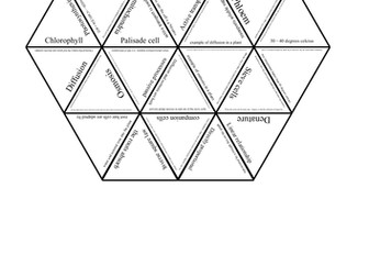 CB6 Photosynthesis Tarsia (Edexcel 9-1)