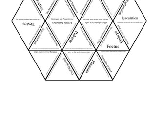 7B Sexual Reproduction Tarsia (Exploring Science)