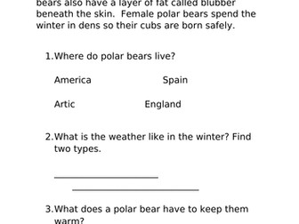 Bears Comprehension