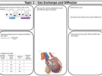 SNAB Biology Topic 2 Revision Sheets