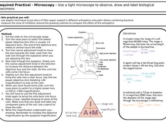 New 9-1 Biology GCSE Required Practical Revision