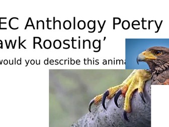 WJEC Anthology Poetry- Hawk Roosting