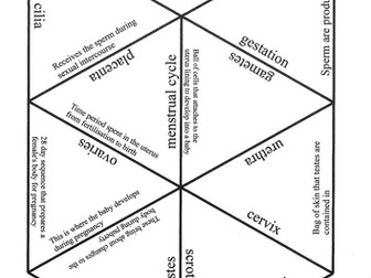 Reproduction Tarsia puzzle