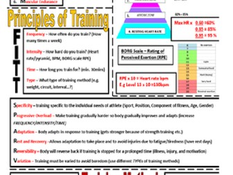 BTEC Sport 2012 Revision mat