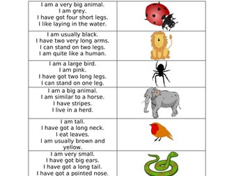 Animal Riddle Match