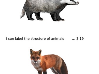 Labeling and comparing animals for KS1
