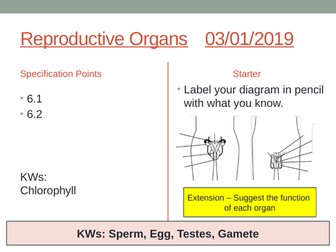 KS3 Year 7 Reproduction Scheme of Work