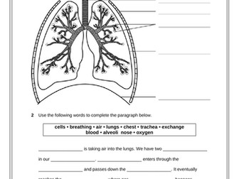 KS3 Year 7 Health Scheme of Work