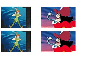 Character description