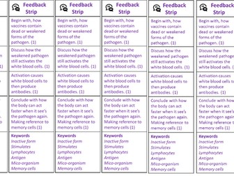 Feedback strip on Vaccination