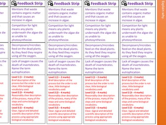Feedback strip Waste pollution 6 mark question.