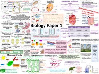 NEW AQA Biology Paper 1 Revision Poster