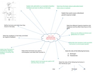 Hormones and Plant Hormones Revision Mind Map
