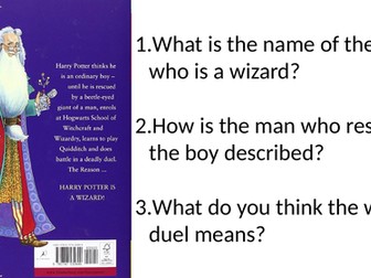 Year 3/4 (LKS2) Book Blurb Reading Starters - RIC Style