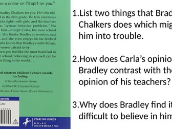 Year 5/6 (UKS2) Book Blurb Reading Starters - RIC style