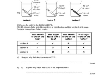 Unhealthy Diet - Full Lesson