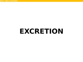Biology Edexcel iGCSE Excretion Powerpoint