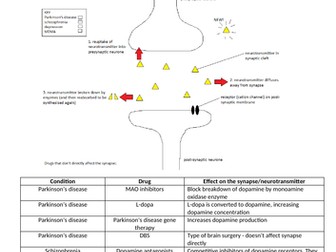 Effects of drugs (psychiatric/recreational) on the synapse