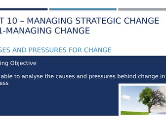Managing strategic change
