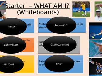Muscle antagonist pairs and types of muscle contracts