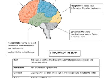 Edexcel GCSE (9-1) Psychology Topic 4 Revision