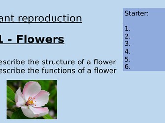 KS3 Plant Reproduction Lessons