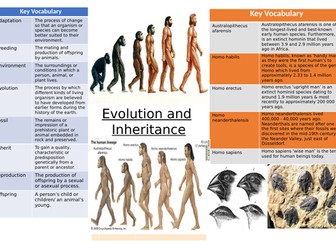 Evolution and inheritance Knowledge Organiser