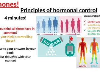 B11.1 Hormone co-ordination foundation