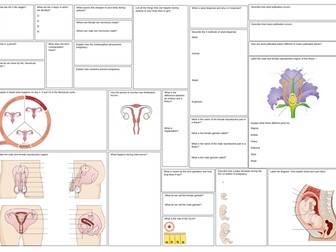 KS3 Reproduction Revision Mat