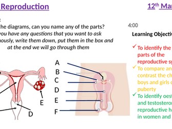 B11.5 human reproduction higher level