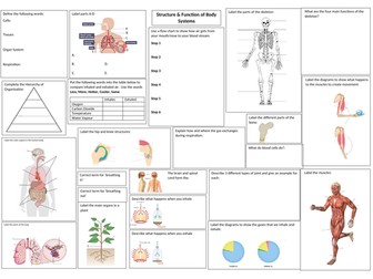 Structure & Function of Body Systems (Levels of organisation) Revision Mat