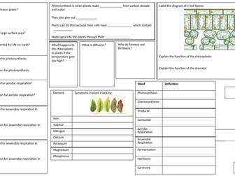 KS3 Ecosystems Revision Mat