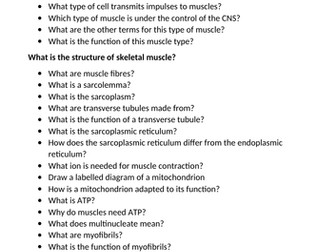 OCR A - Muscle Contraction