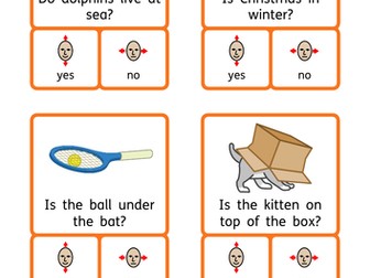 Yes / No questions, reading comprehension, reasoning, TEACCH / workstation task. KS1 / Autism / SEN