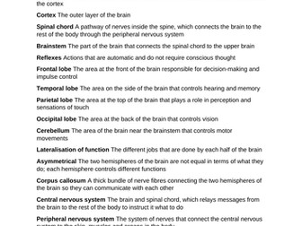 GCSE Edexcel 9-1 Psychology revision booklet-Brain and neuropsychology