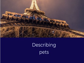 Dynamo  Module 4 Pets