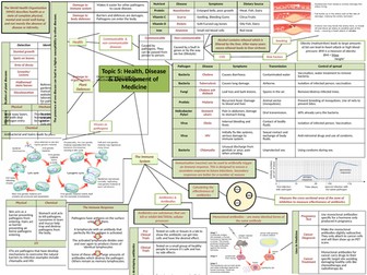 GCSE Biology Revision Topic 5 - Topic to a Page