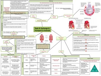 GCSE Biology Revision Topic 8 - Topic to a Page