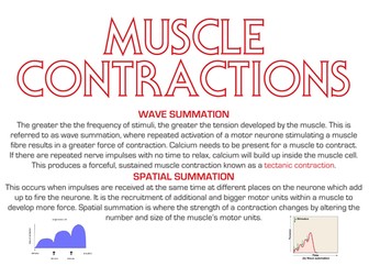 A Level PE Revision - The Neuromuscular System