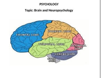 Psychology Edexcel (9-1) revision pack: Brain and Neuropsychology