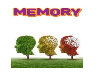 Psychology Edexcel (9-1) revision pack: Memory