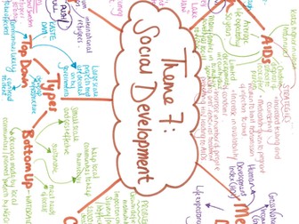 Theme 7 - Social Development Revision Poster