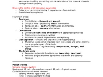 Psychology A-Level AQA 7181/7182 (New) - Biopsychology Notes