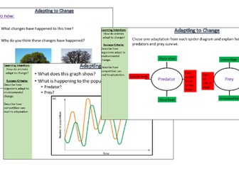 Adapting to Change Activate B2.3.2