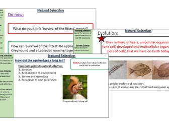 Natural Selection Activate B 2.3.6