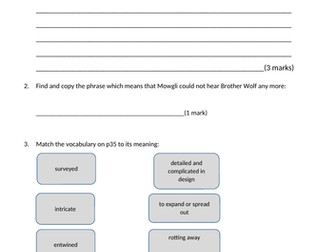 Into the Jungle by Katherine Rundell Reading Comprehension Ch 1 & 2